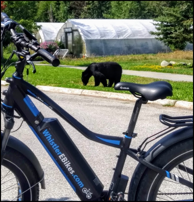 a motorcycle parked in front of a bicycle