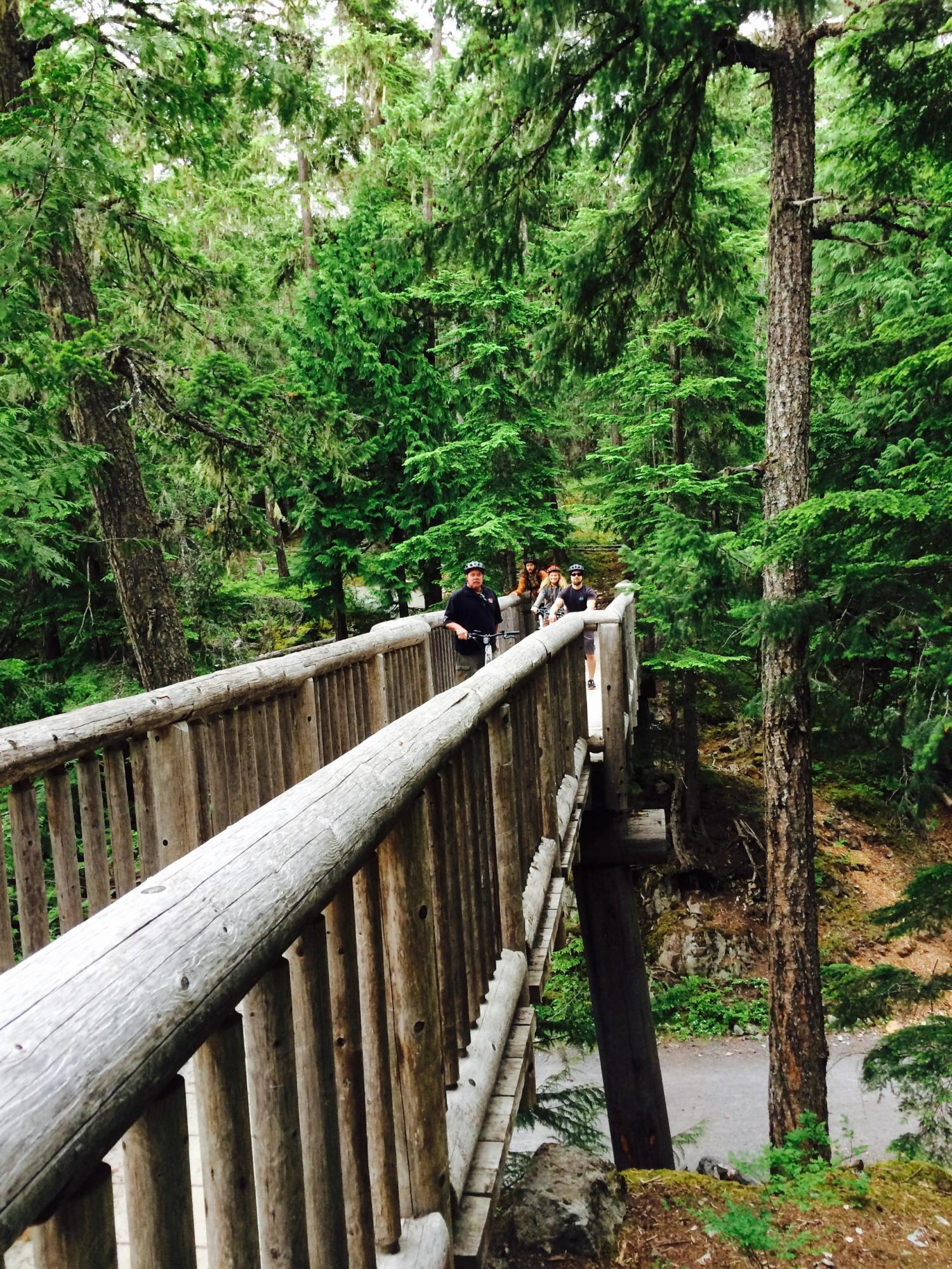 people riding bikes on trail