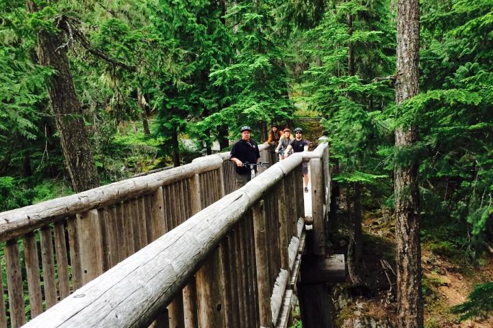 people riding bikes on trail