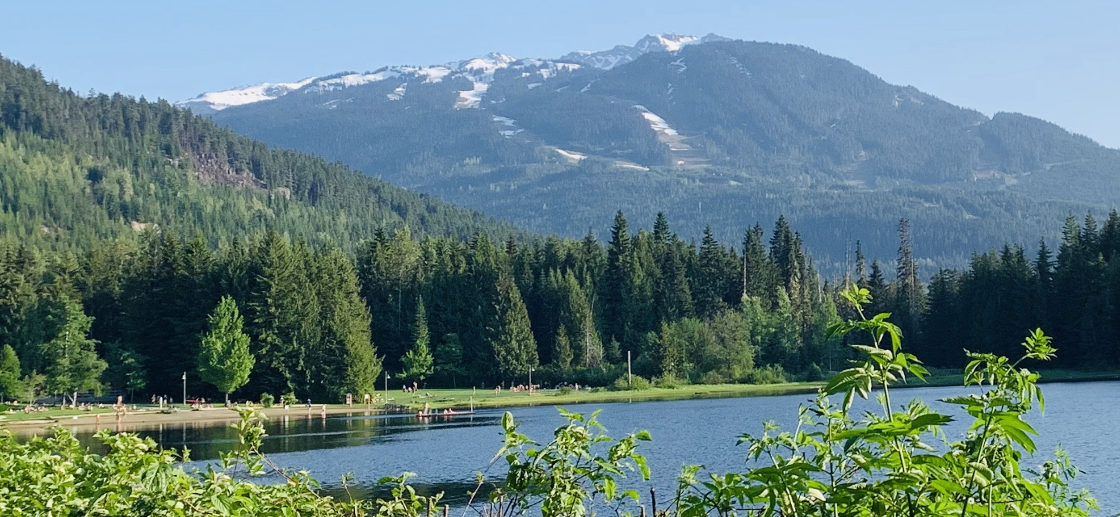 scenic mountain field