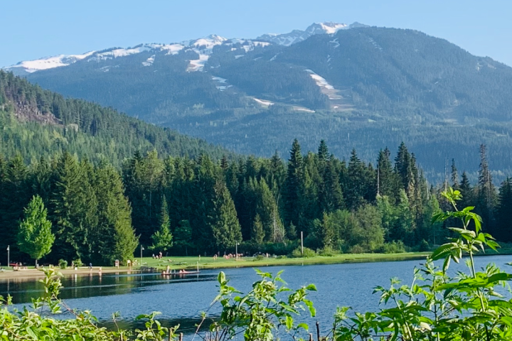 scenic mountain field