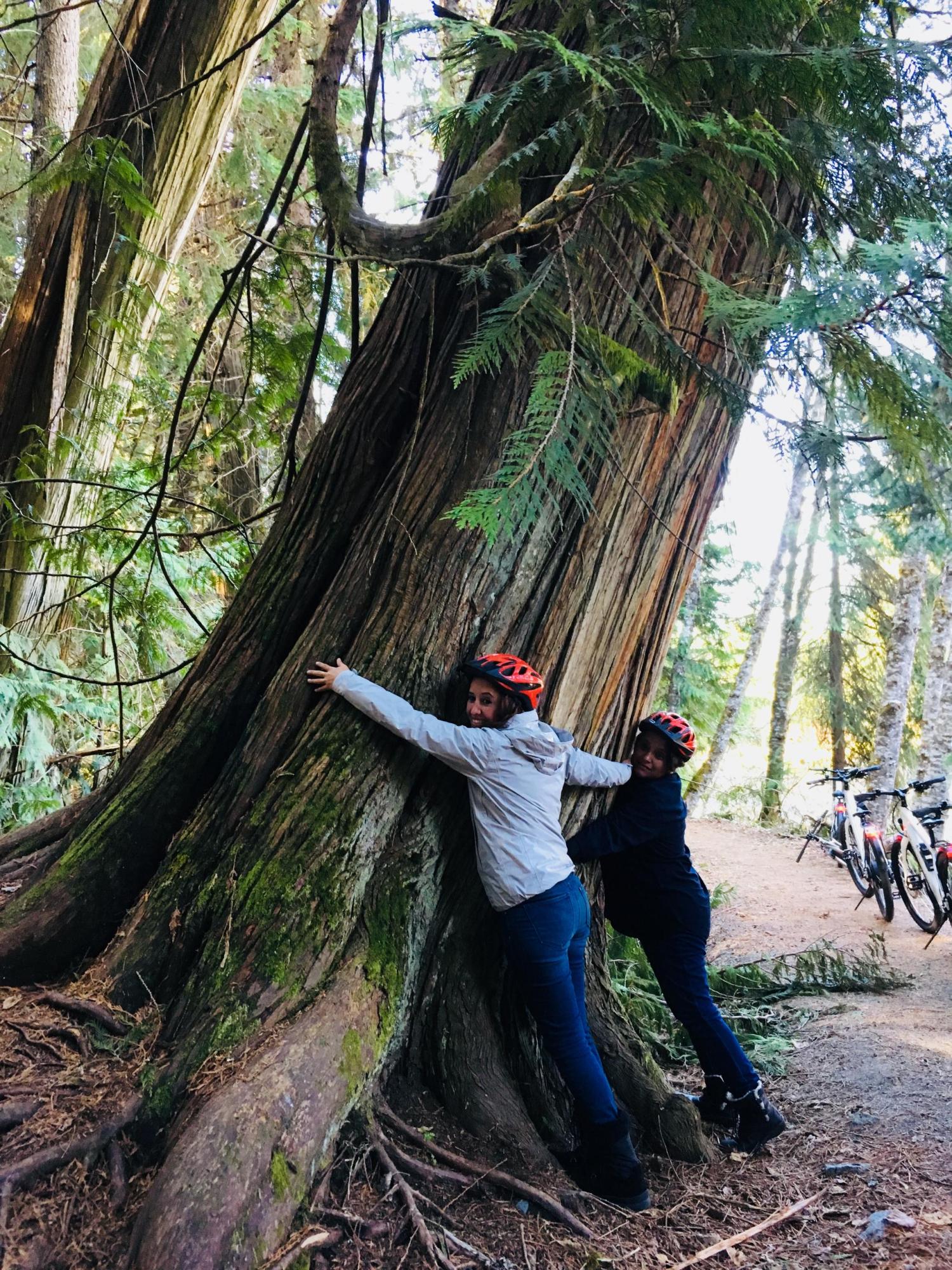 two people hugging a tree