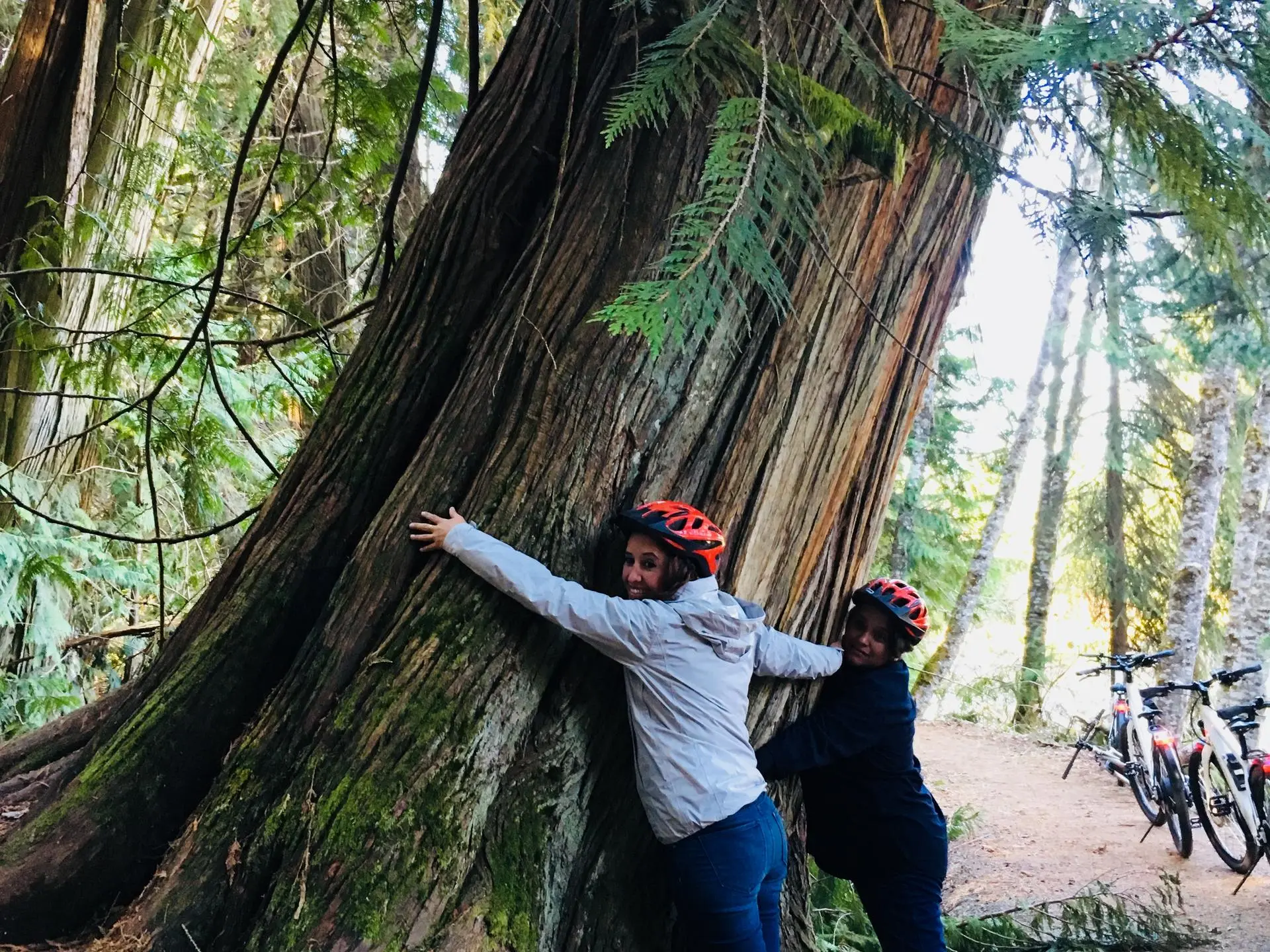 two people hugging a tree