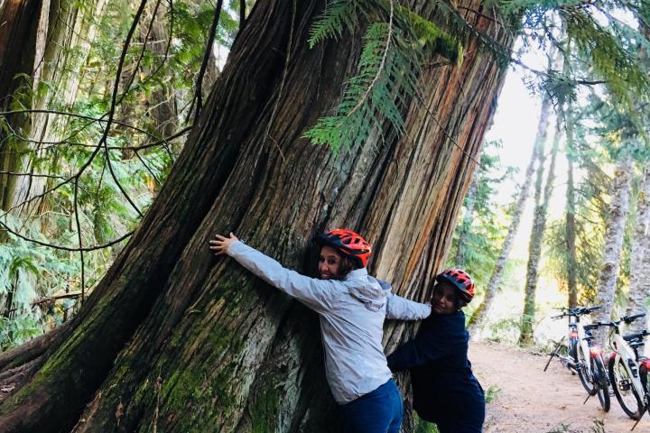 two people hugging a tree