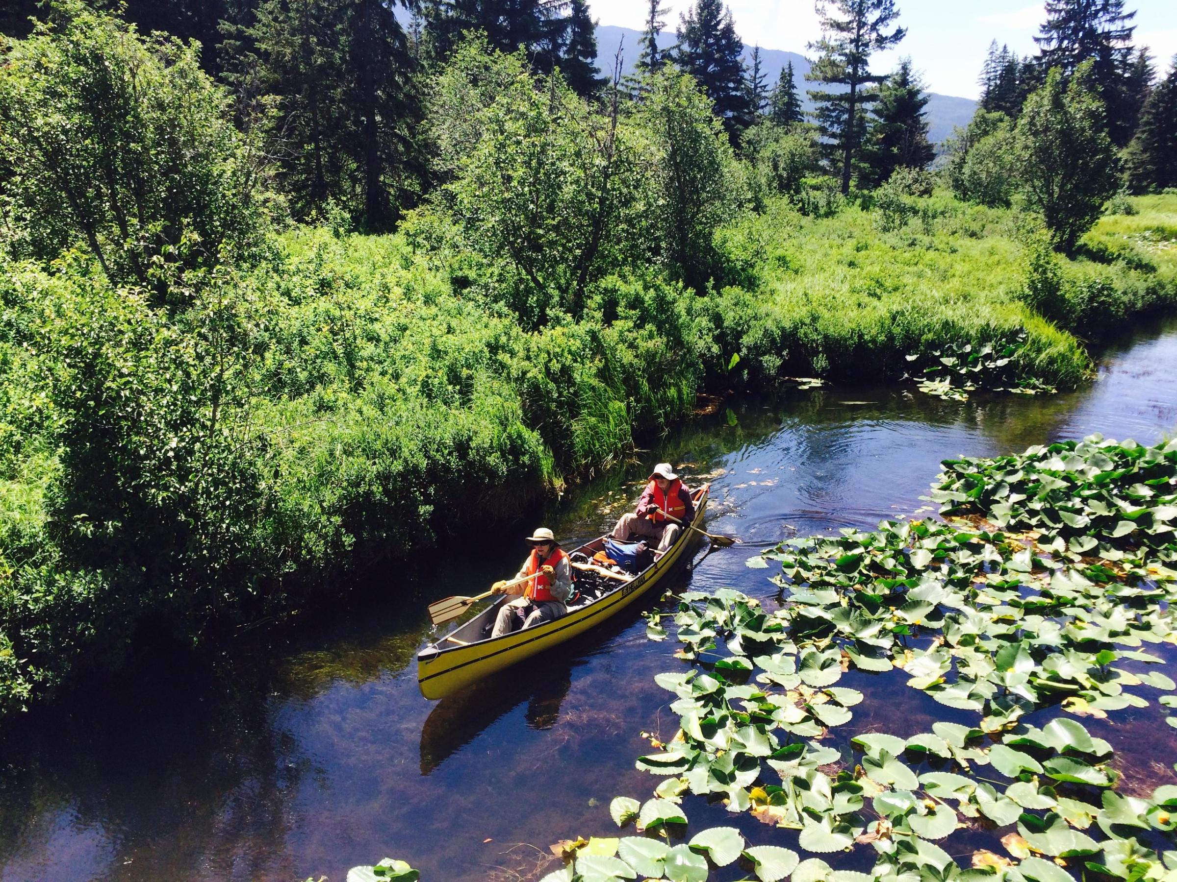 people on canoe in lake