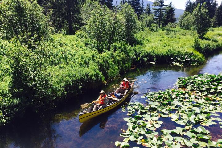 people on canoe in lake