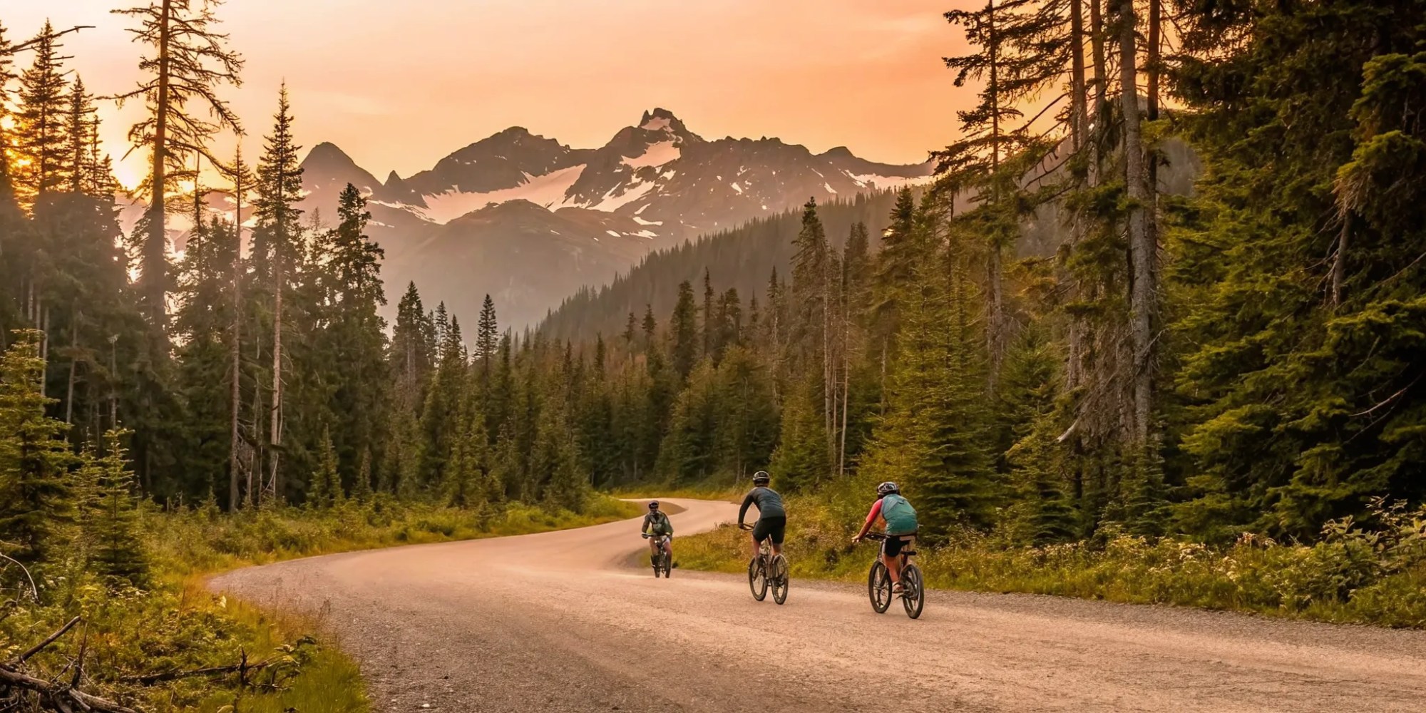 Cyclists on a Whistler guided bike tour on a scenic mountain trail.