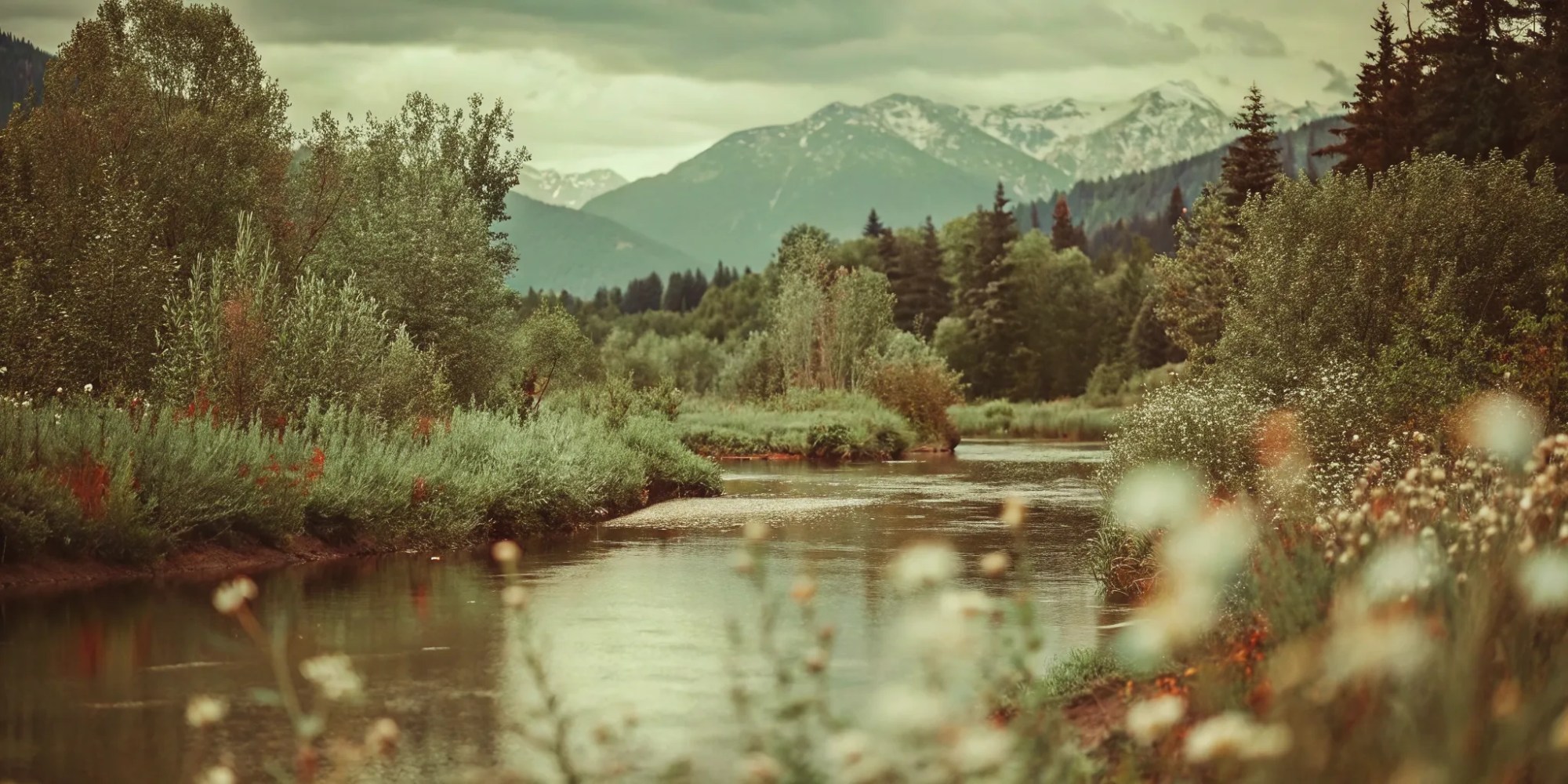 River winding through forest with distant mountains and cloudy sky.
