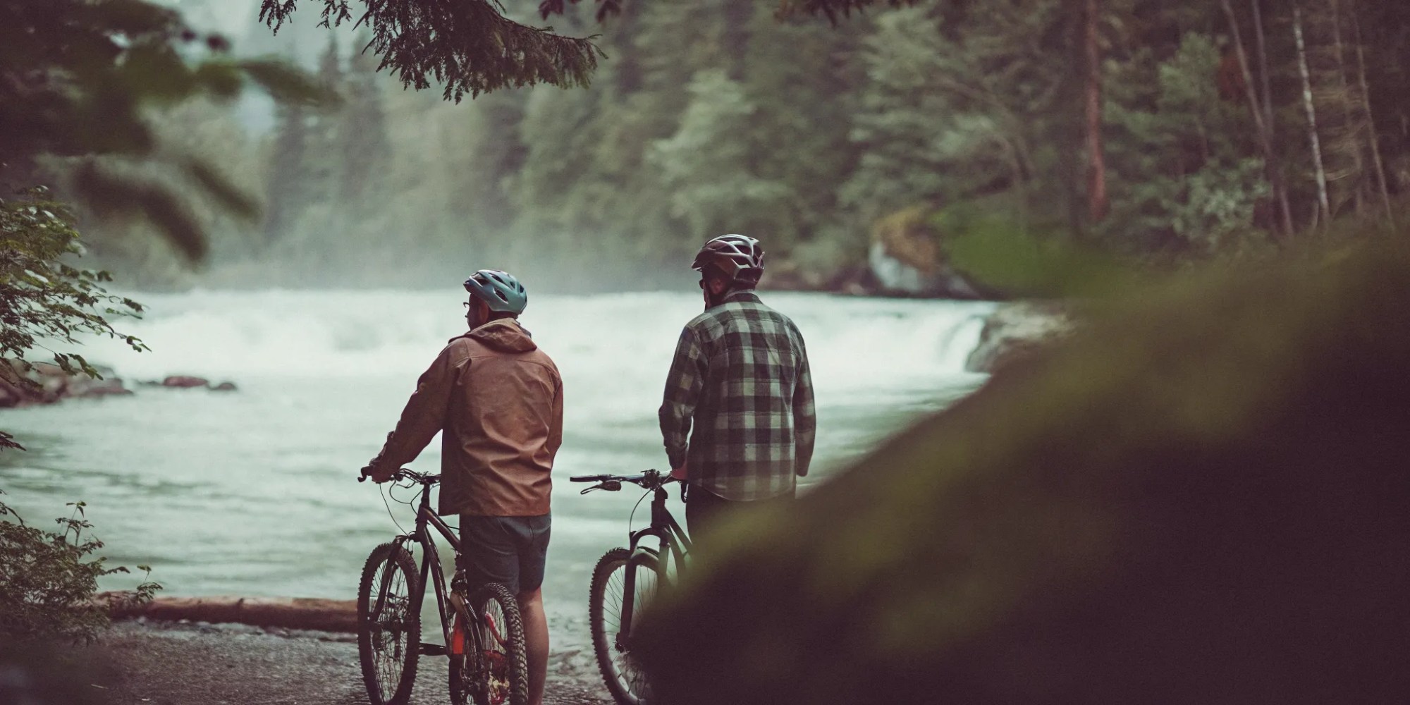 Cyclists on a Whistler wildlife viewing bike tour pause by a forested river.